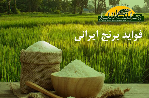 فواید برنج ایرانی